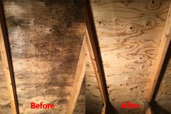 water damage restoration service Clyde